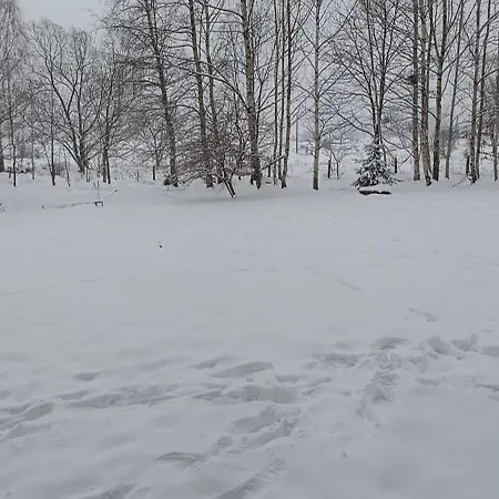 Dompodkasztanem